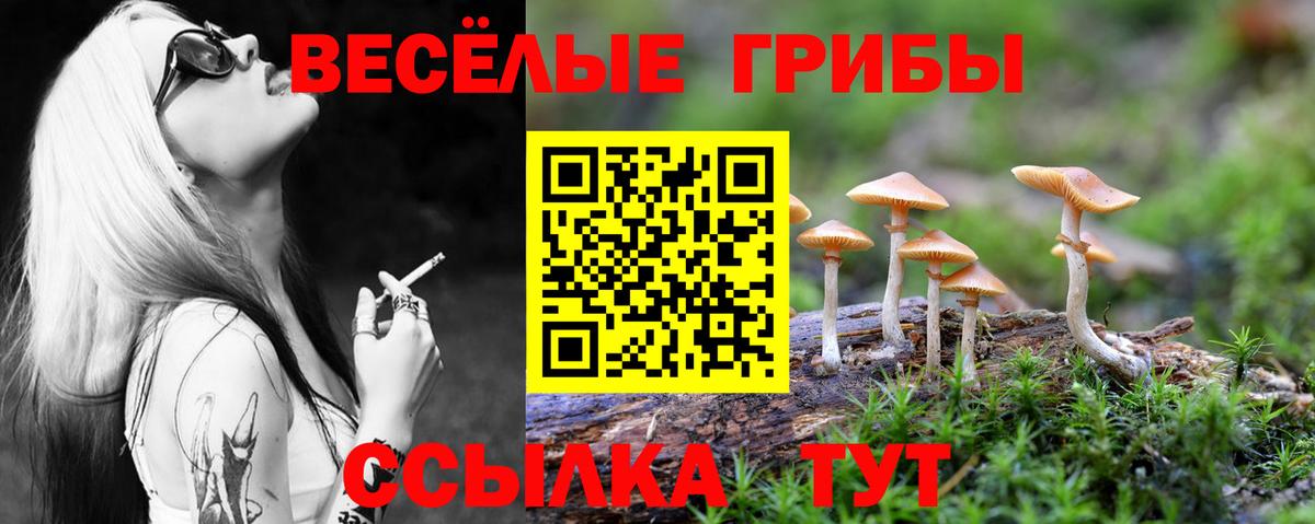 Псилоцибиновые грибы прущие грибы Сергиев Посад